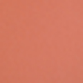 E09
