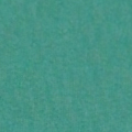 E25